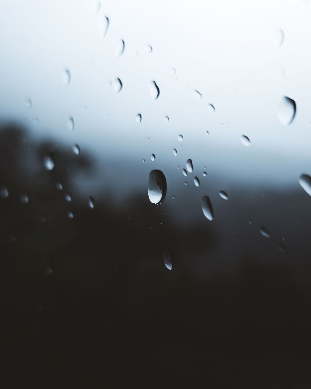 Morning Rain