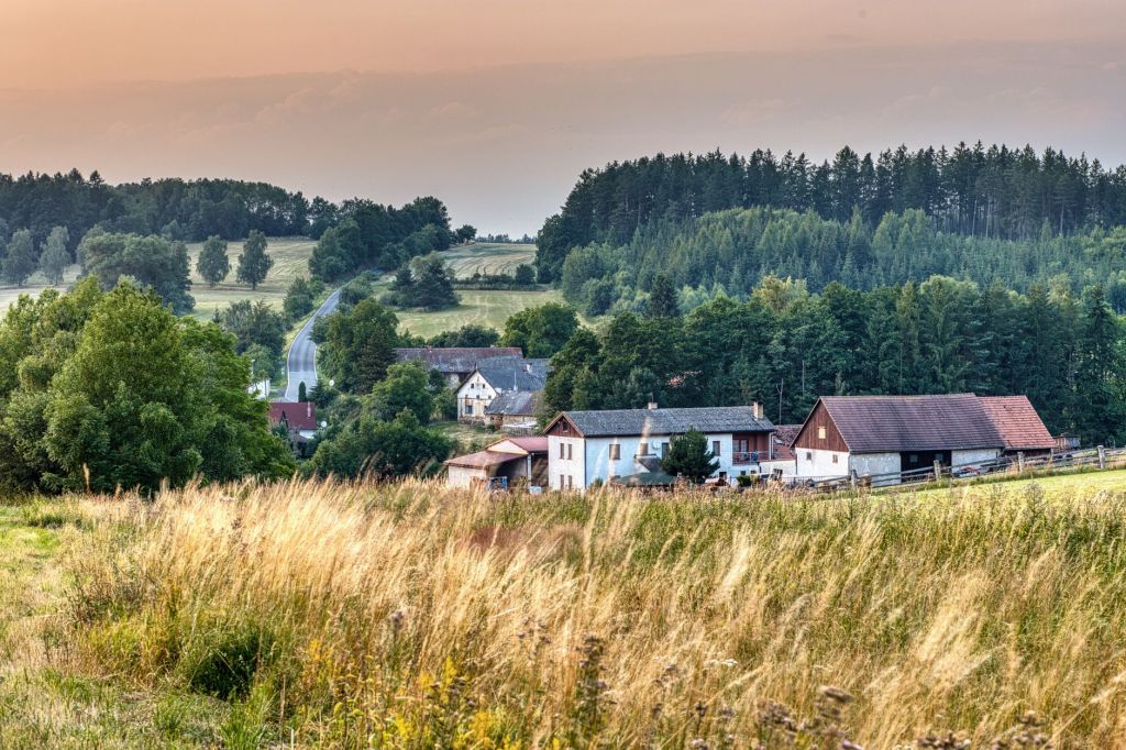 Krakus Jars, Kapusta Kiszona and Gołąbki: