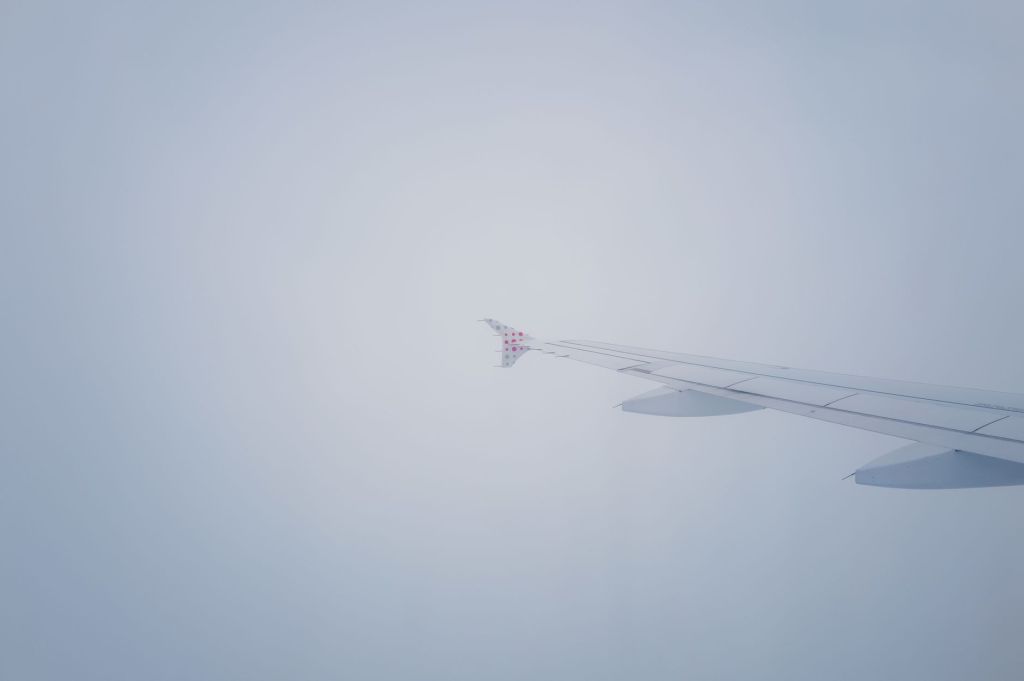 Fog, a Mercedes and Bulldogs: A True Polish&nbsp;Odyssey