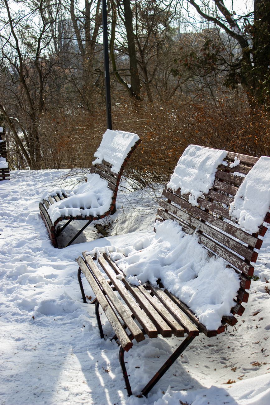 Mickiewicz in the&nbsp;Snow