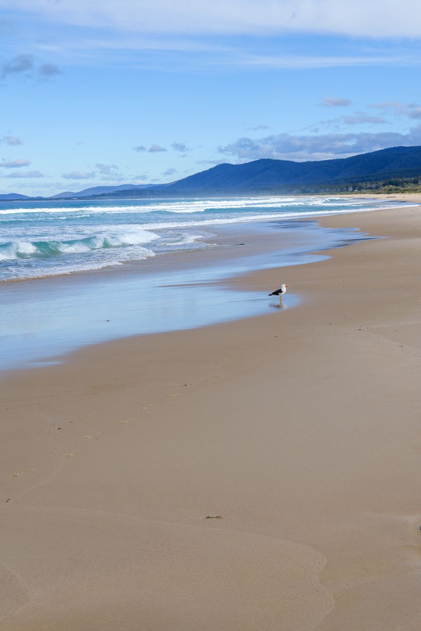 Lorne Beach
