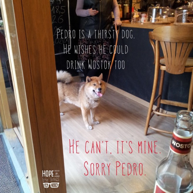 image of a dog waiting with it's owner at the counter of a café
